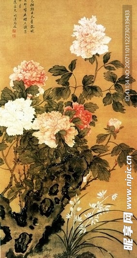 牡丹