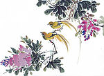花鸟国画图片