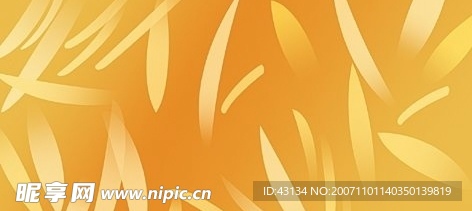 花纹底纹