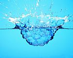 滴水领域