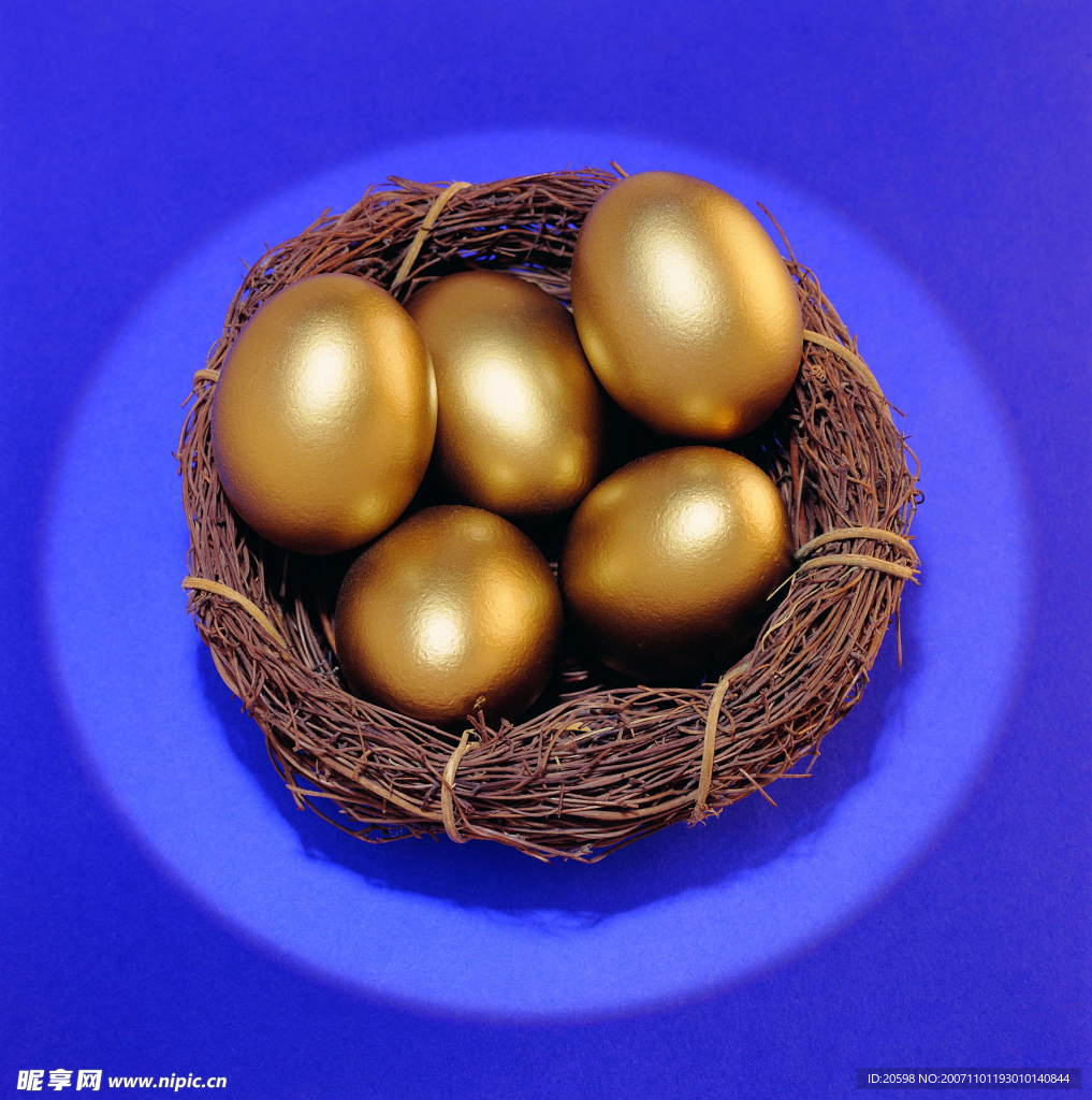 金蛋