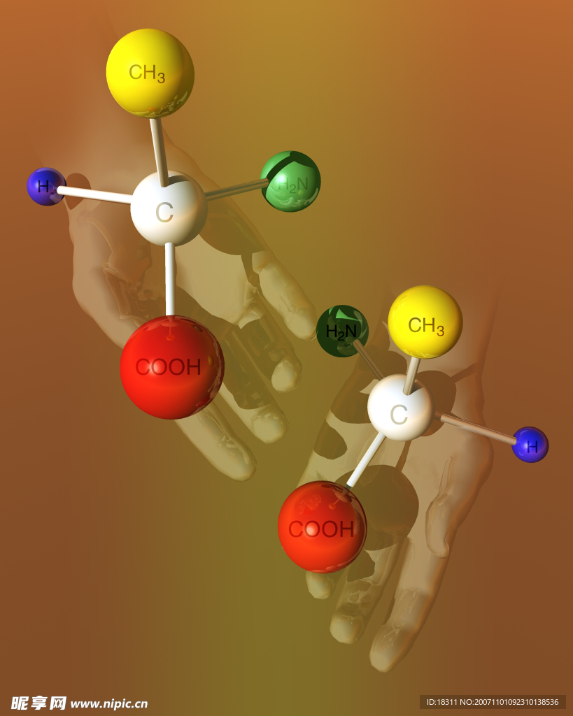 分子模型09