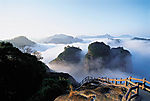 经典风景，楼书必用