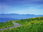 几张高速公路的图