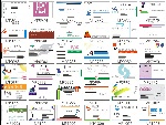 名片模版