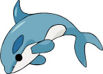海豚