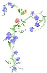 手绘时尚花卉