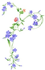 手绘时尚花卉
