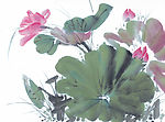 花鸟国画图片