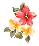 手绘时尚花卉