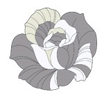 手绘时尚花卉