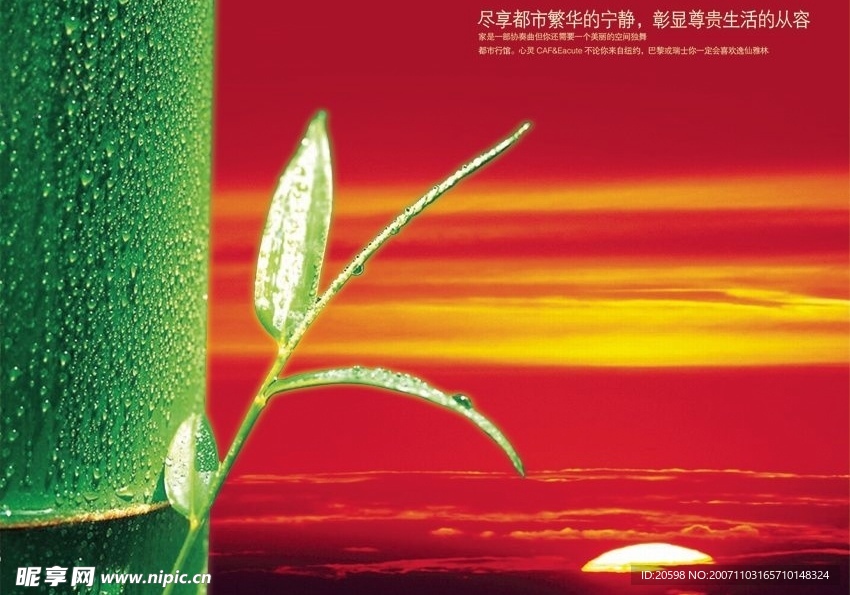 彰显珍贵生活