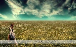 色调风景摄影