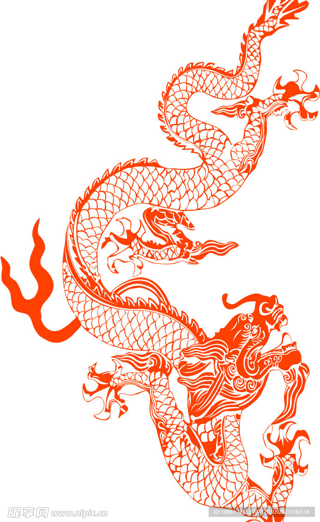 龙飞舞