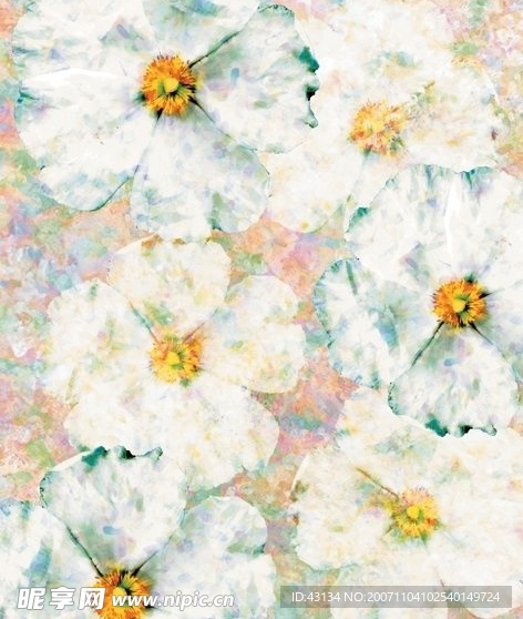斑斓的花