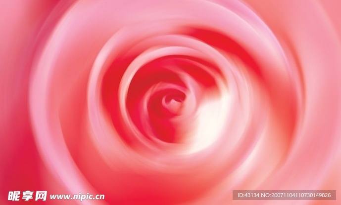 玫瑰花底纹
