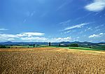 田园风光