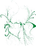 富丽的花纹