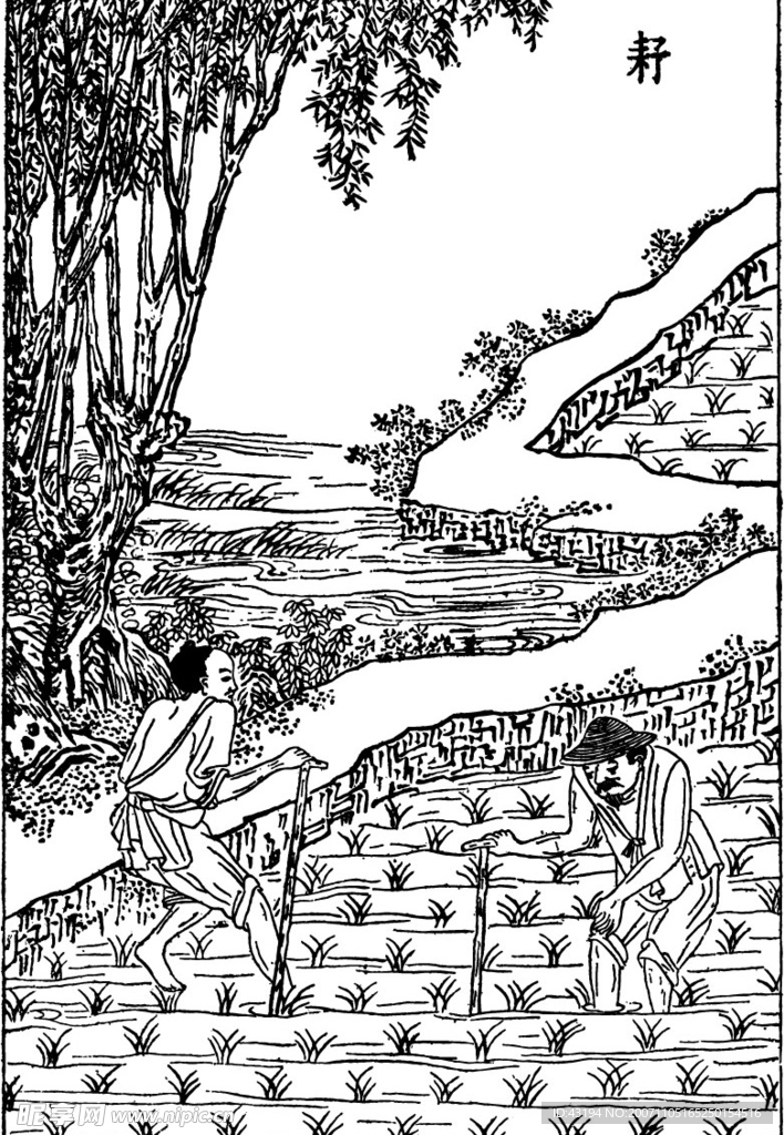 农历春耕图-插秧