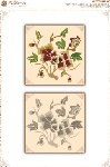 矢量古典服装花纹