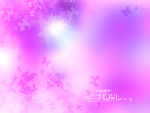 婚纱背影模板  去年花开的时候