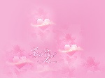 婚纱背景模板 粉约香颂
