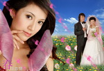 psd婚纱模板