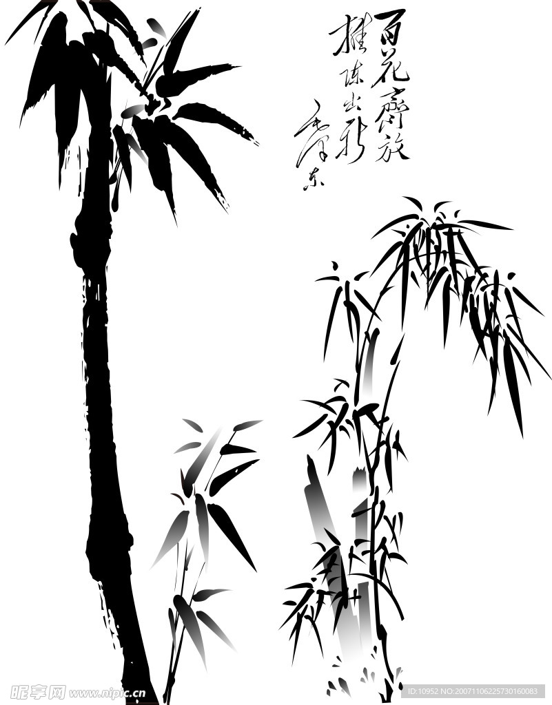 竹