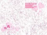 韩城恋曲婚纱模板