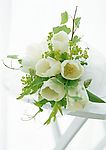 去底鲜花（高精）