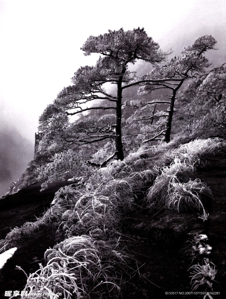 中国　美景　雄伟　奇观