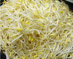 豆芽