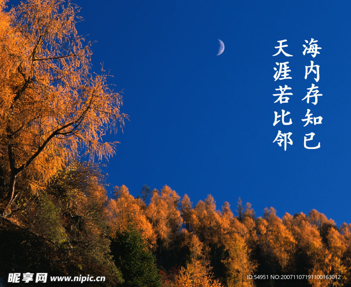 明月