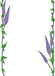 花草边框 007 (共100张)