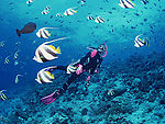 海洋世界