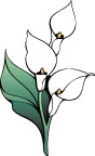花
