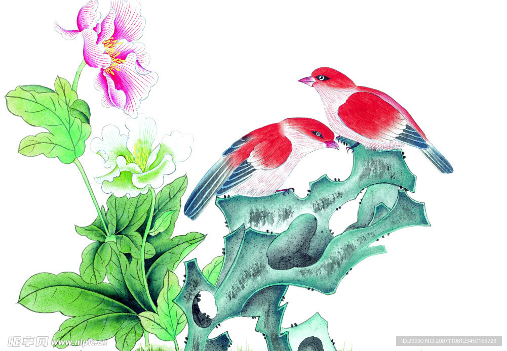 花鸟