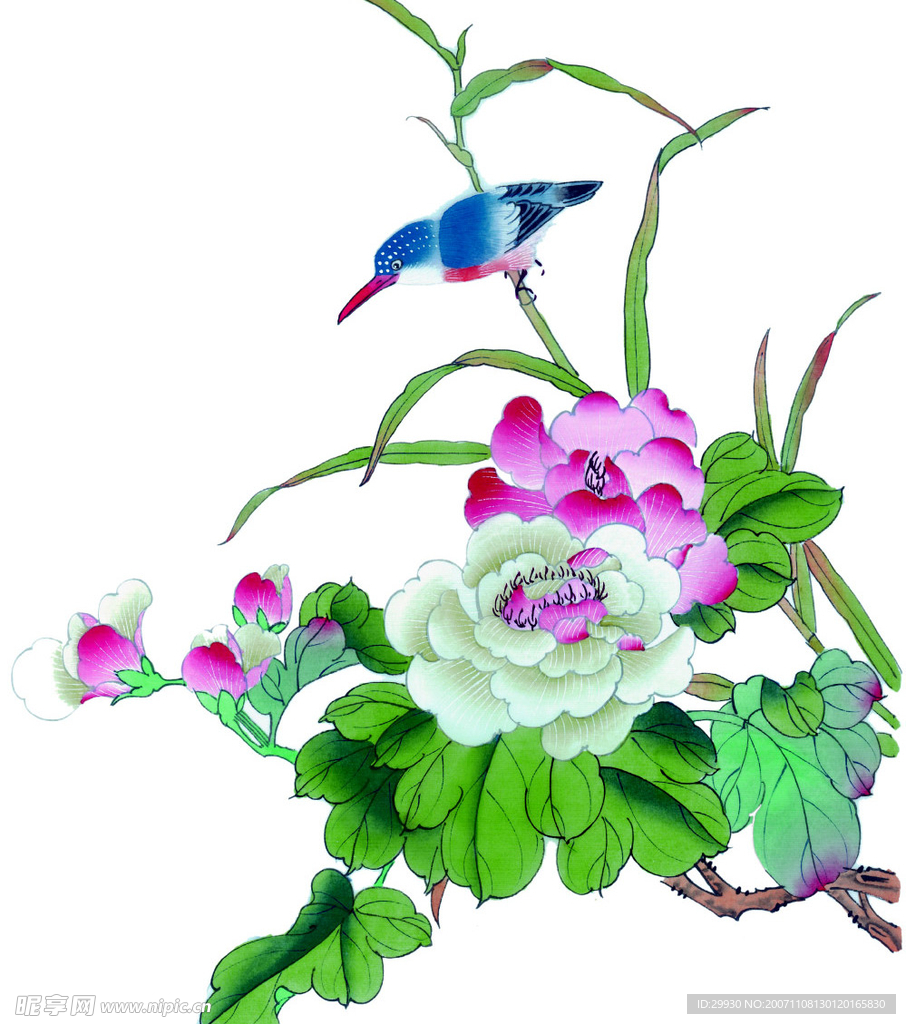 花鸟
