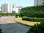 小区绿化