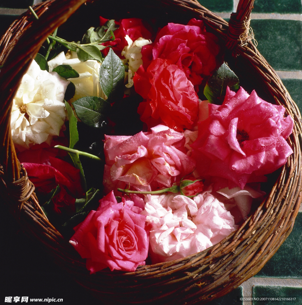 鲜花