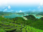 亭下湖茶山