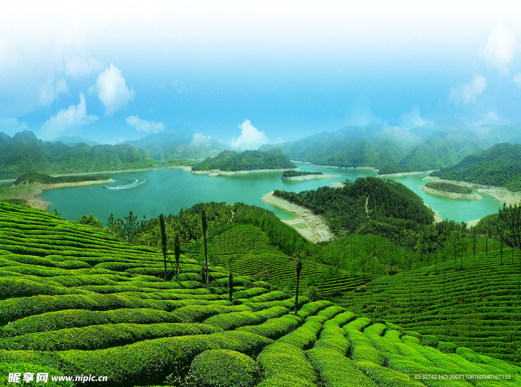 亭下湖茶山