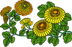 花