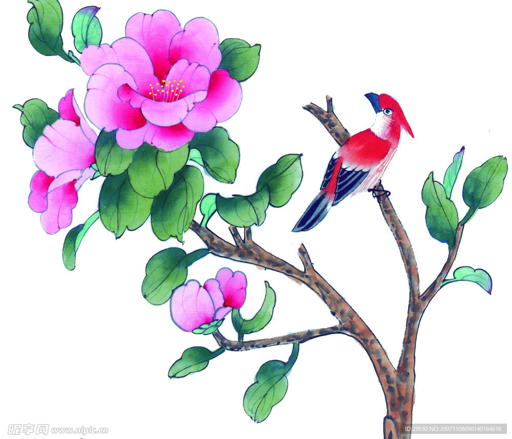 花鸟