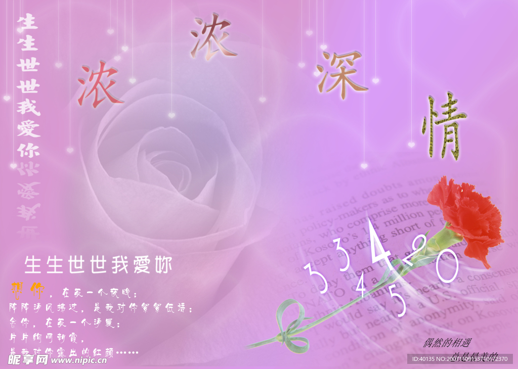 影楼专用