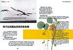 杂志14