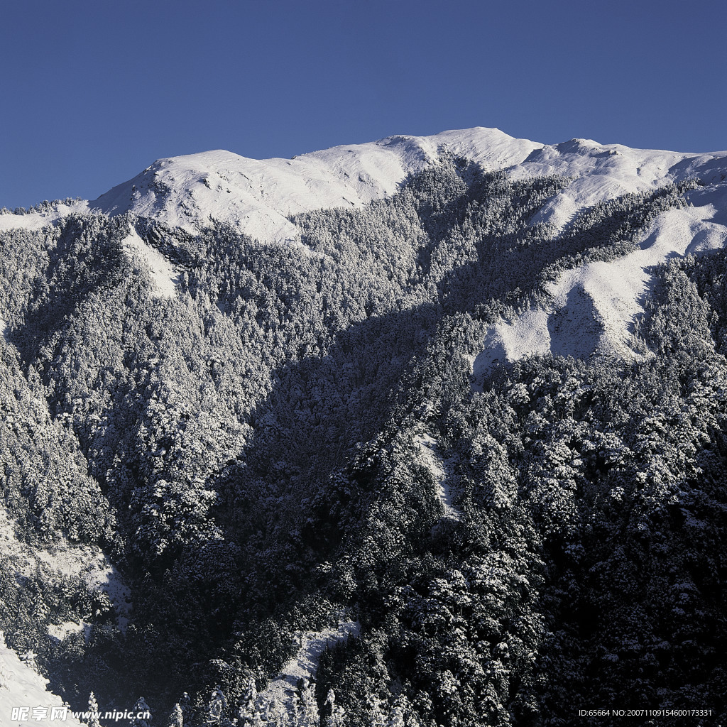 雪景