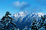 雪景