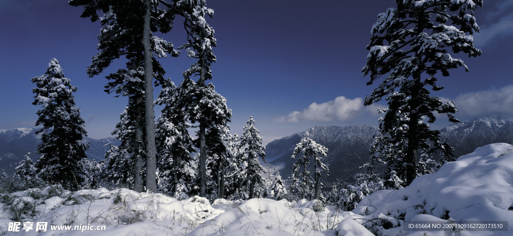 雪景