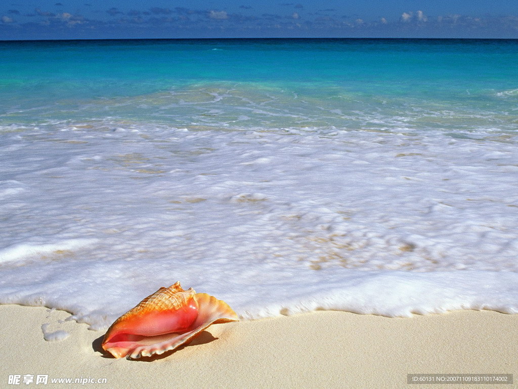 大海